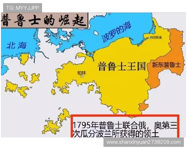 杭州排球队的崛起之路：从默默无闻到世界杯舞台的辉煌历程